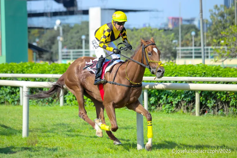 WhatsApp Image 2025-12-07 at 4.07.34 PM