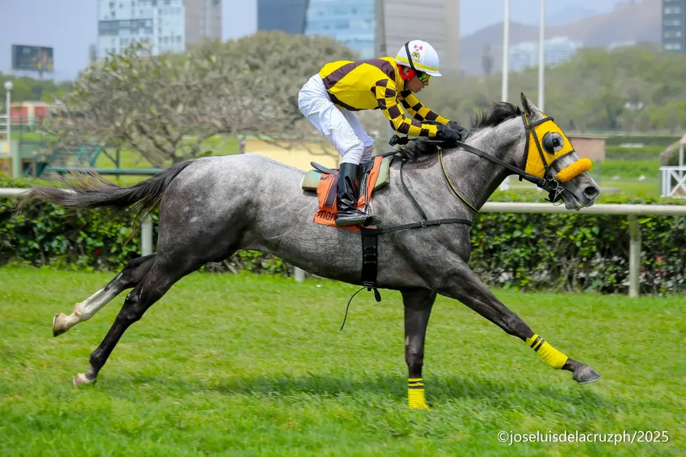 WhatsApp Image 2025-11-04 at 2.18.46 PM