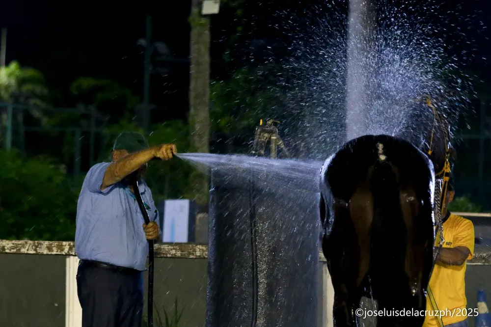 WhatsApp Image 2025-10-15 at 12.44.32 PM