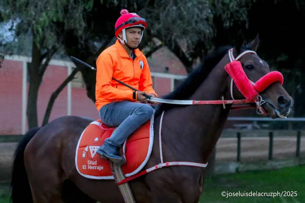 WhatsApp Image 2025-10-07 at 2.01.02 PM (1)