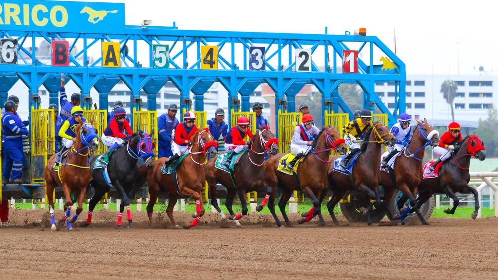 Foto: José Luis De La Cruz