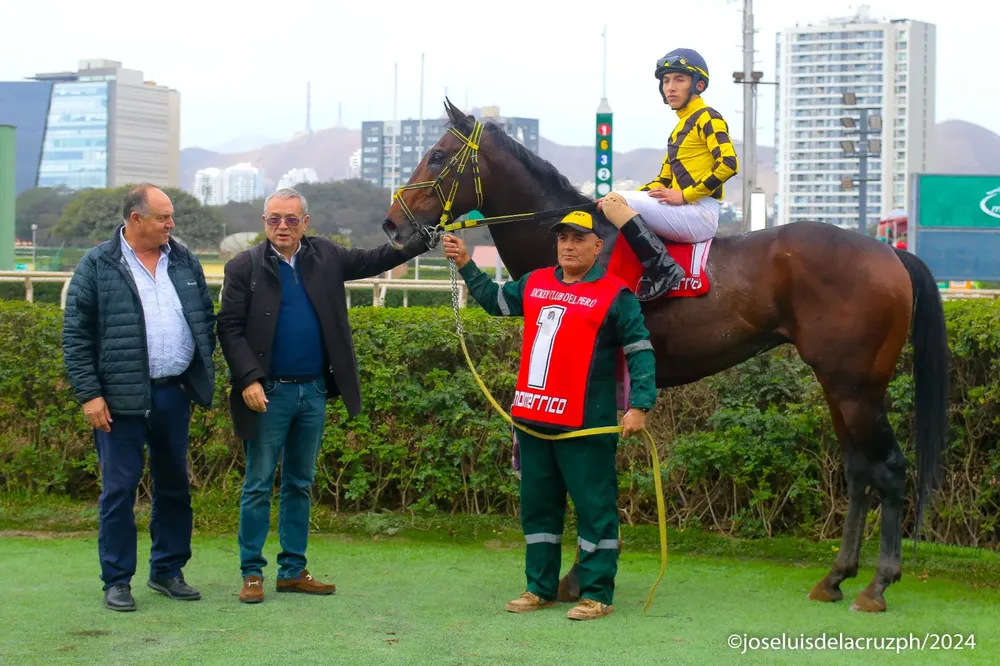 WhatsApp Image 2024-08-13 at 13.45.52 (1)