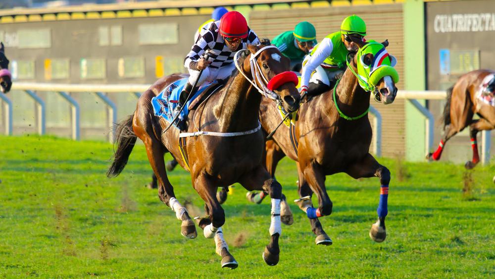 WhatsApp Image 2023-09-04 at 12.52.55 PM