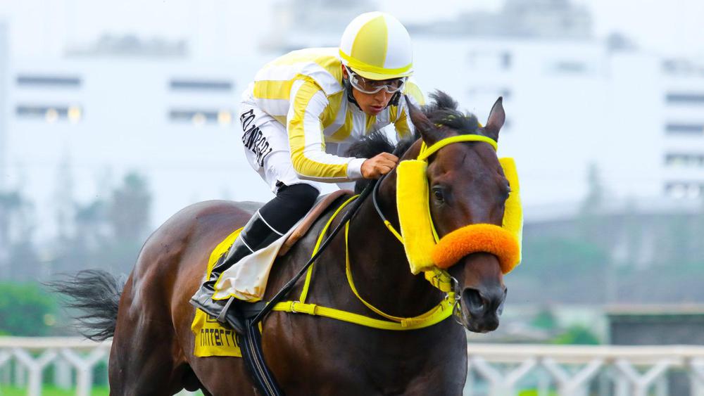 WhatsApp Image 2023-07-17 at 10.53.24 AM