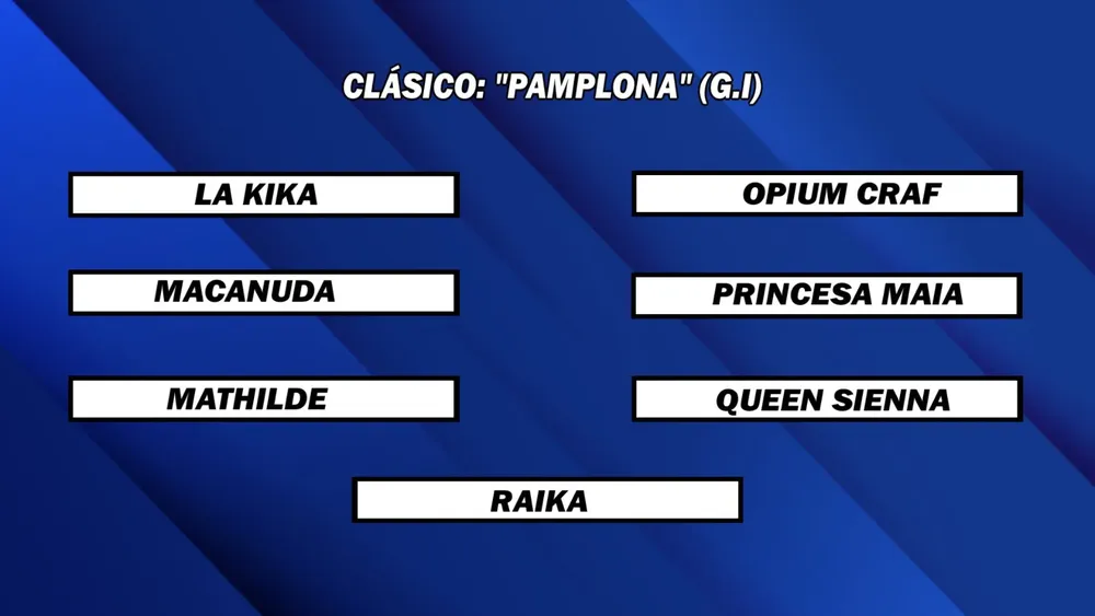 WhatsApp Image 2025-06-16 at 13.53.50