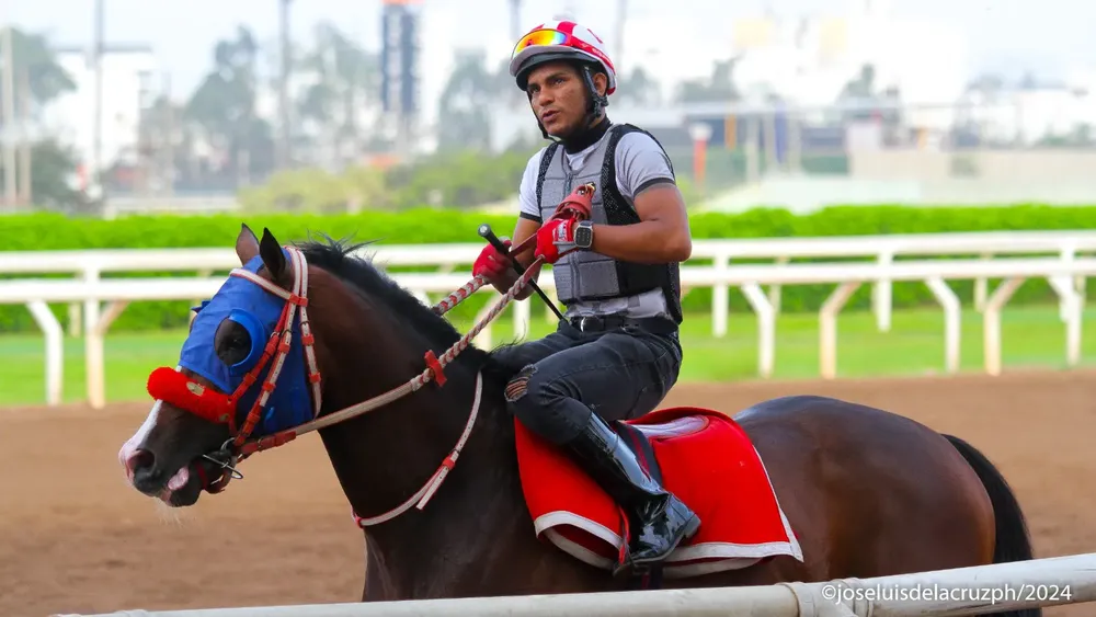 WhatsApp Image 2024-01-20 at 9.28.42 AM