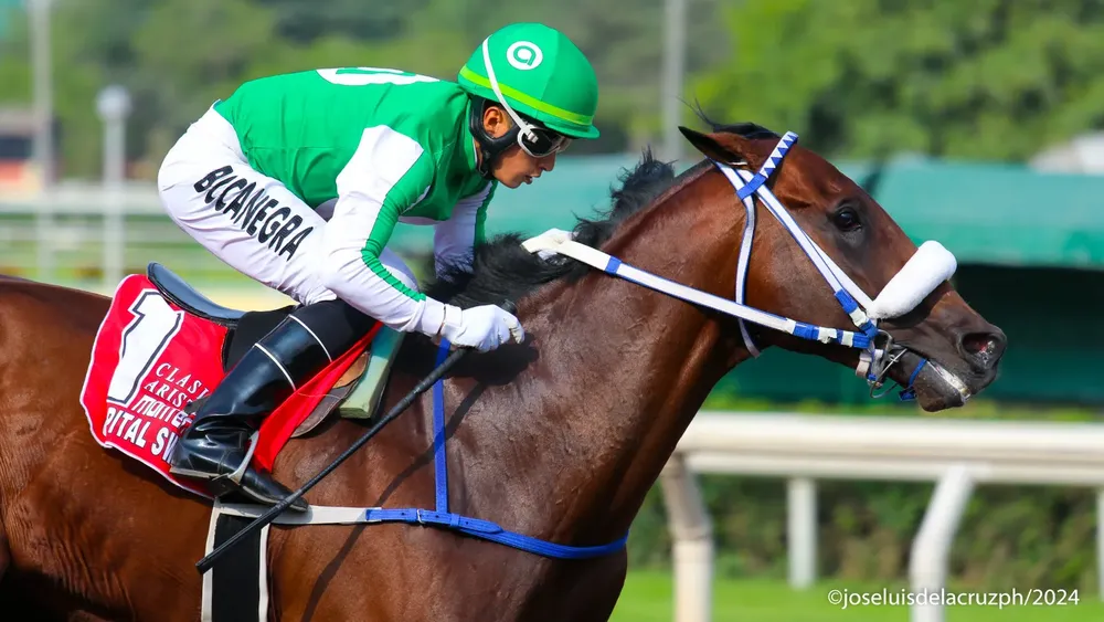 WhatsApp Image 2024-03-04 at 2.03.33 PM