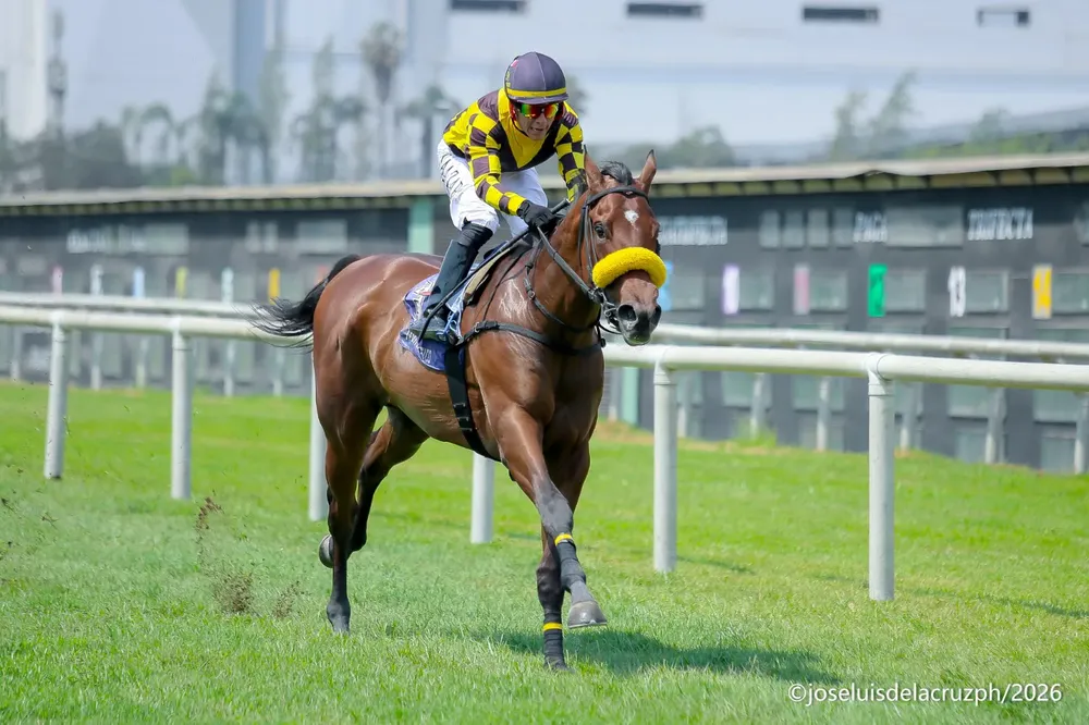 WhatsApp Image 2026-01-03 at 2.23.38 PM