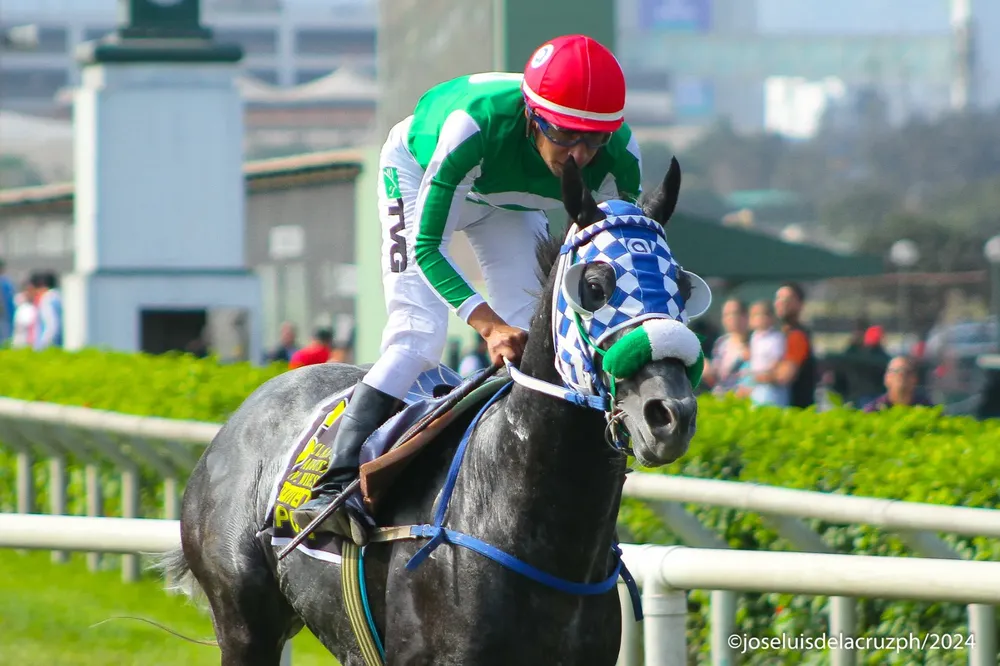 WhatsApp Image 2024-10-02 at 14.57.07