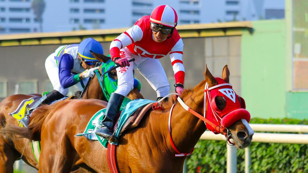 WhatsApp Image 2023-08-20 at 4.56.54 PM