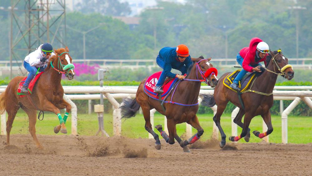 WhatsApp Image 2023-08-28 at 10.23.49 AM