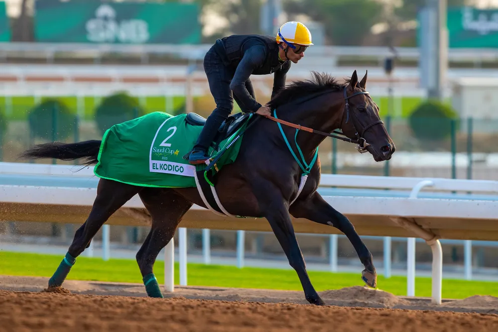 RS32681_El Kodigo (ARG)_