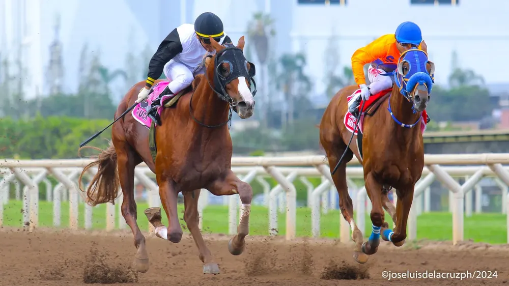 WhatsApp Image 2024-02-09 at 10.09.59 AM