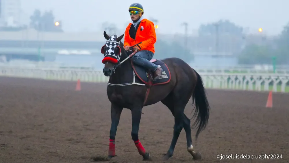 WhatsApp Image 2024-05-04 at 10.55.44