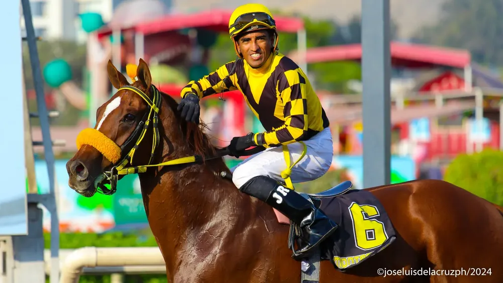 WhatsApp Image 2024-05-12 at 16.35.18