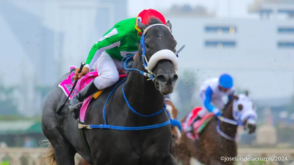 WhatsApp Image 2024-06-23 at 18.11.56