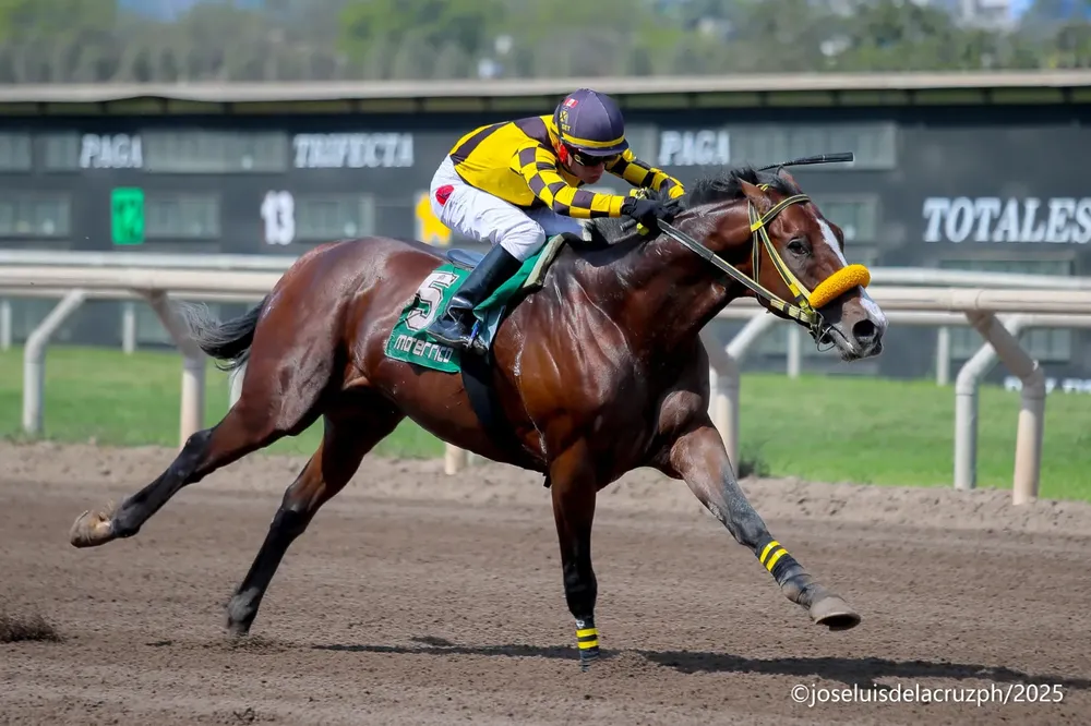 WhatsApp Image 2025-11-05 at 4.14.46 PM (1)