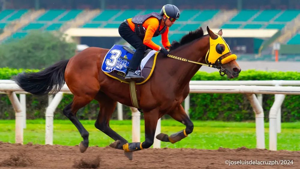 WhatsApp Image 2024-07-15 at 09.34.05