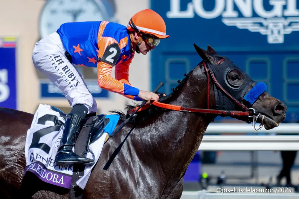 WhatsApp Image 2025-11-01 at 12.25.56 PM (1)