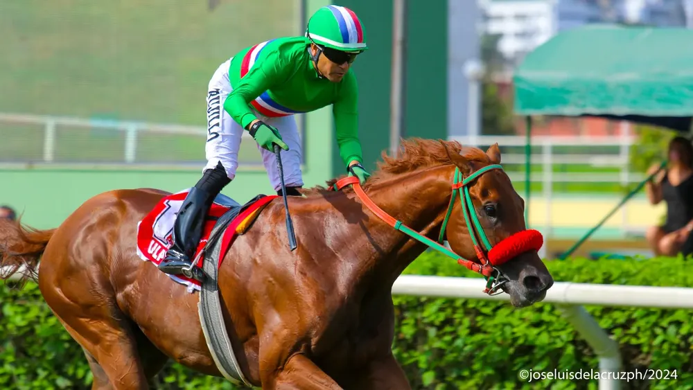 WhatsApp Image 2024-06-15 at 21.53.19