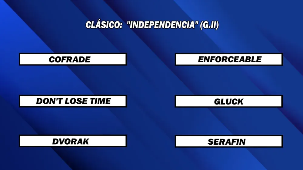 WhatsApp Image 2025-07-21 at 13.55.07 (2)