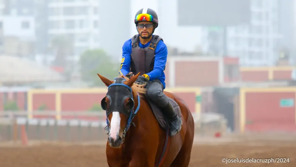 WhatsApp Image 2024-03-27 at 12.04.52 AM