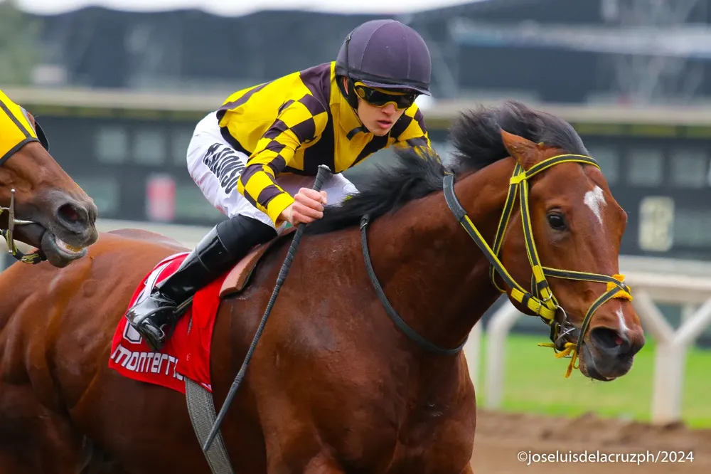 WhatsApp Image 2024-08-13 at 13.40.01