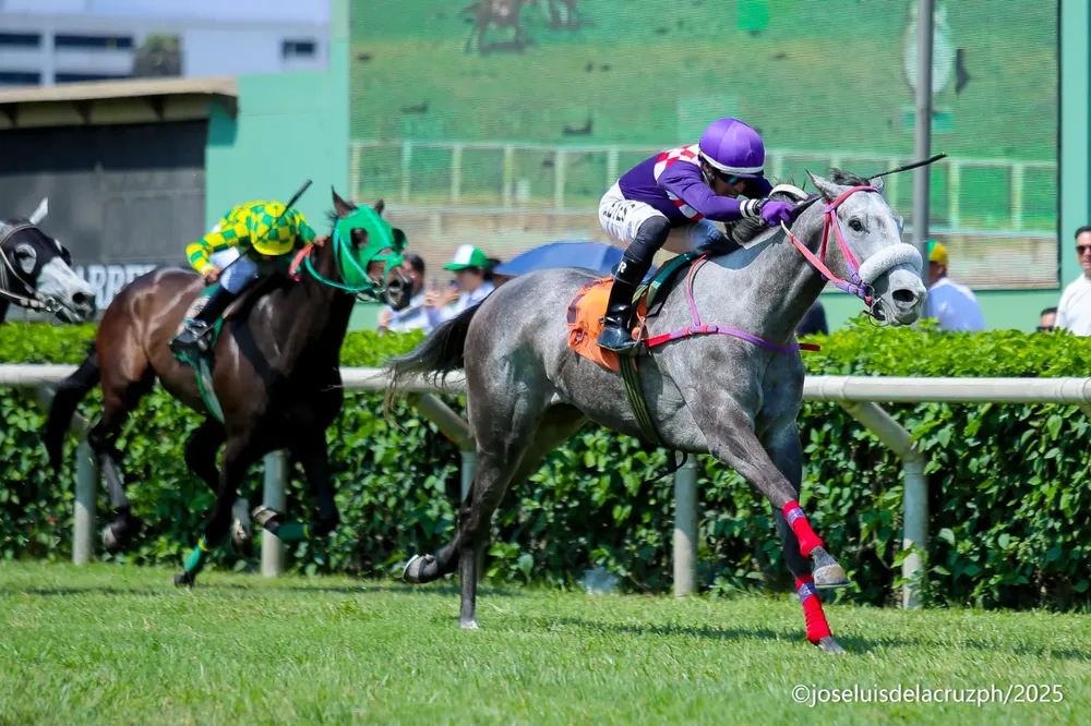 WhatsApp Image 2025-11-23 at 3.38.23 PM