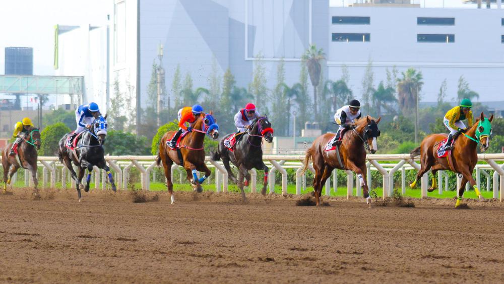 WhatsApp Image 2023-08-01 at 4.58.07 PM