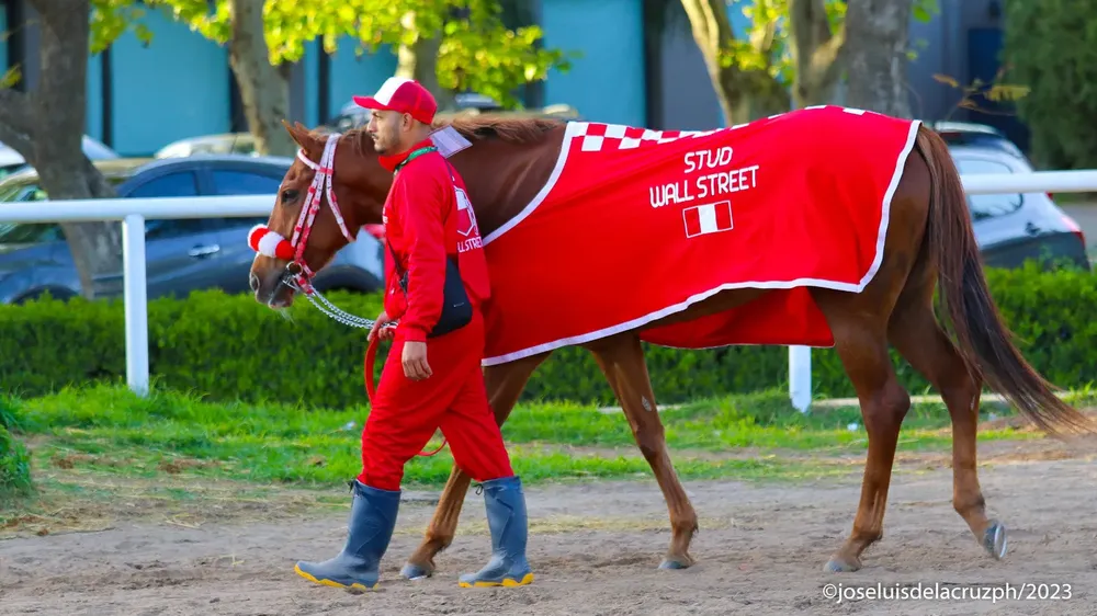 WhatsApp Image 2023-11-14 at 11.14.38 AM