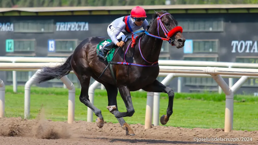 WhatsApp Image 2024-01-27 at 2.50.10 PM