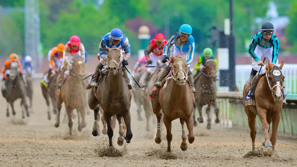 WhatsApp Image 2023-10-25 at 12.28.20 PM