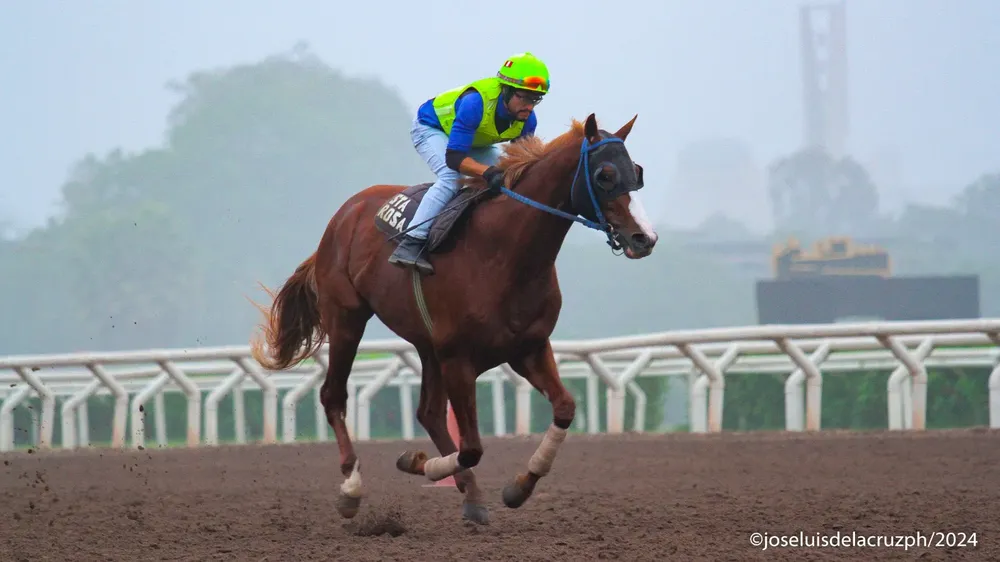 WhatsApp Image 2024-05-09 at 10.06.20