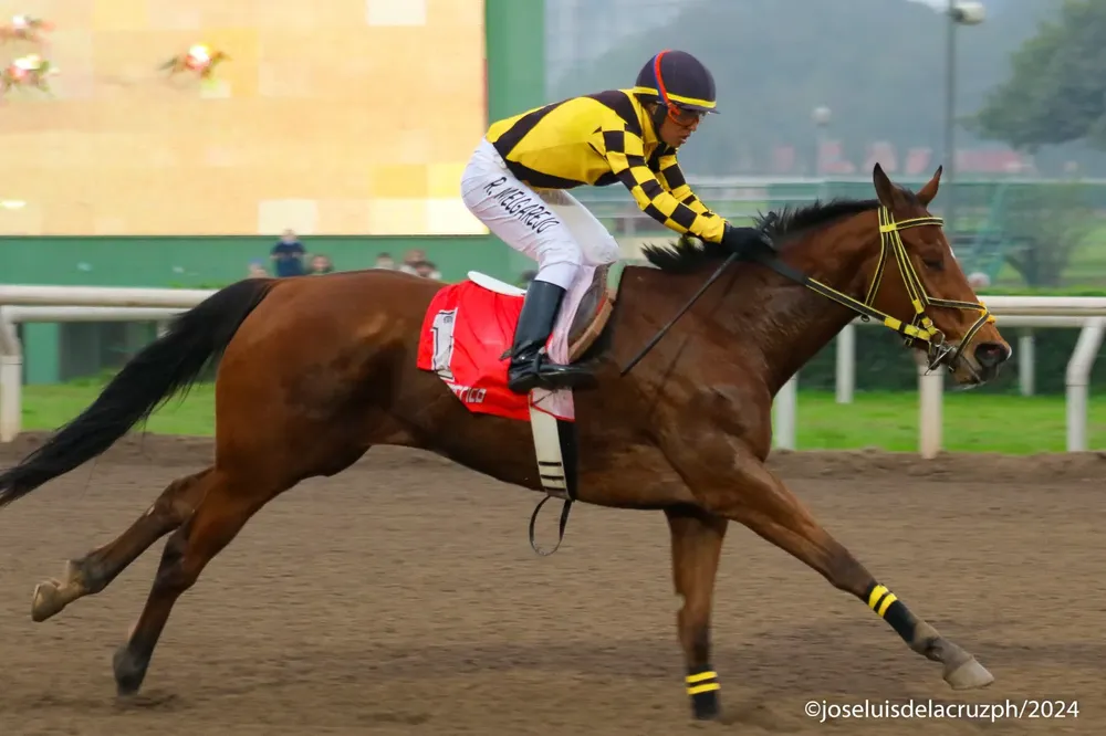 WhatsApp Image 2024-08-26 at 12.50.24