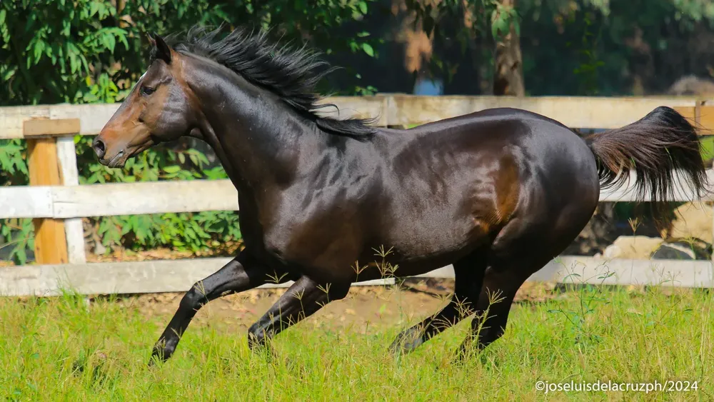 WhatsApp Image 2024-06-26 at 17.18.39