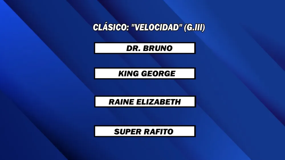 WhatsApp Image 2025-04-21 at 14.16.10