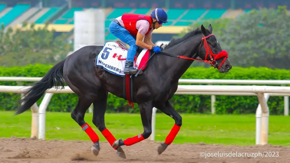 IMG-20231122-WA0014(1)