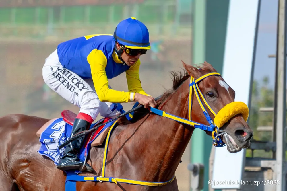 WhatsApp Image 2025-11-16 at 5.31.14 PM (1)