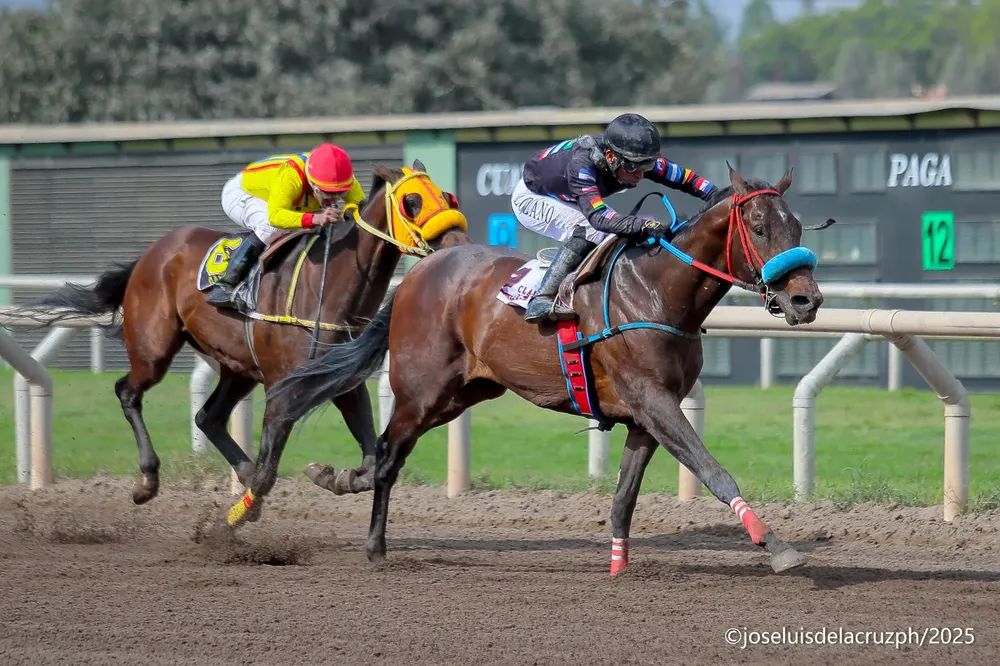 WhatsApp Image 2025-11-04 at 4.34.38 PM