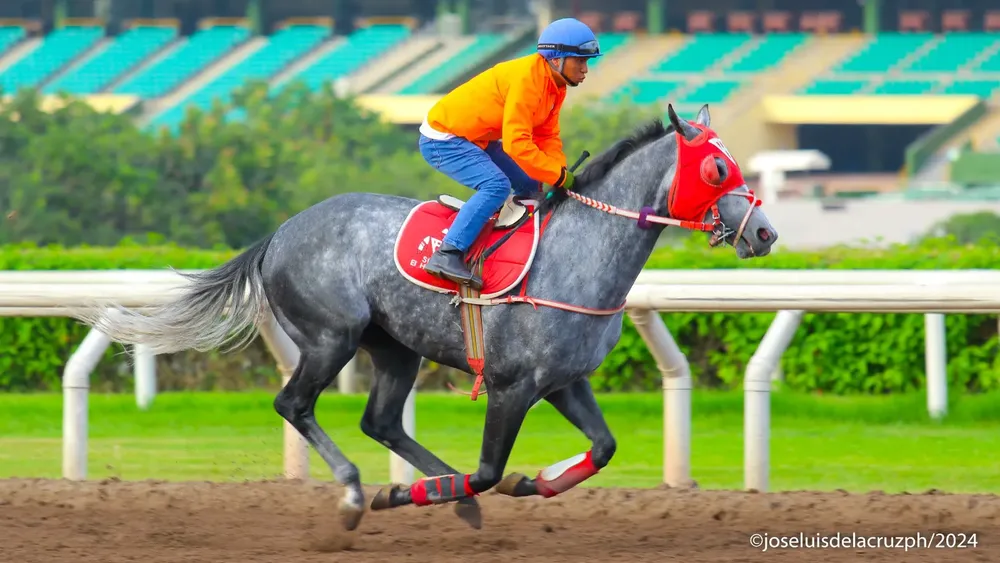 WhatsApp Image 2024-01-30 at 12.33.19 PM