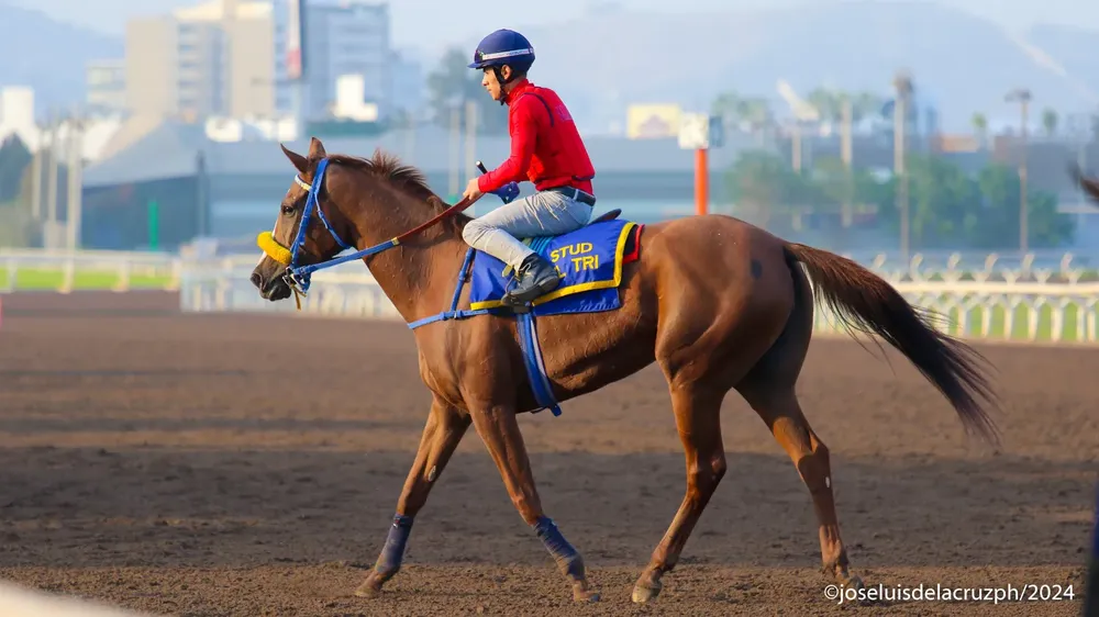 WhatsApp Image 2024-04-20 at 09.56.32