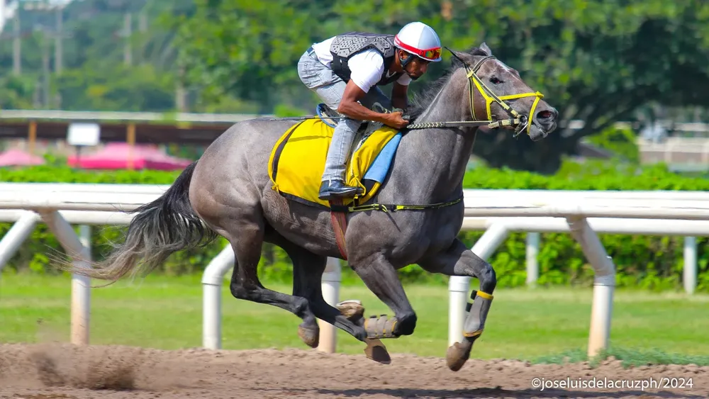 WhatsApp Image 2024-03-11 at 10.01.44 AM