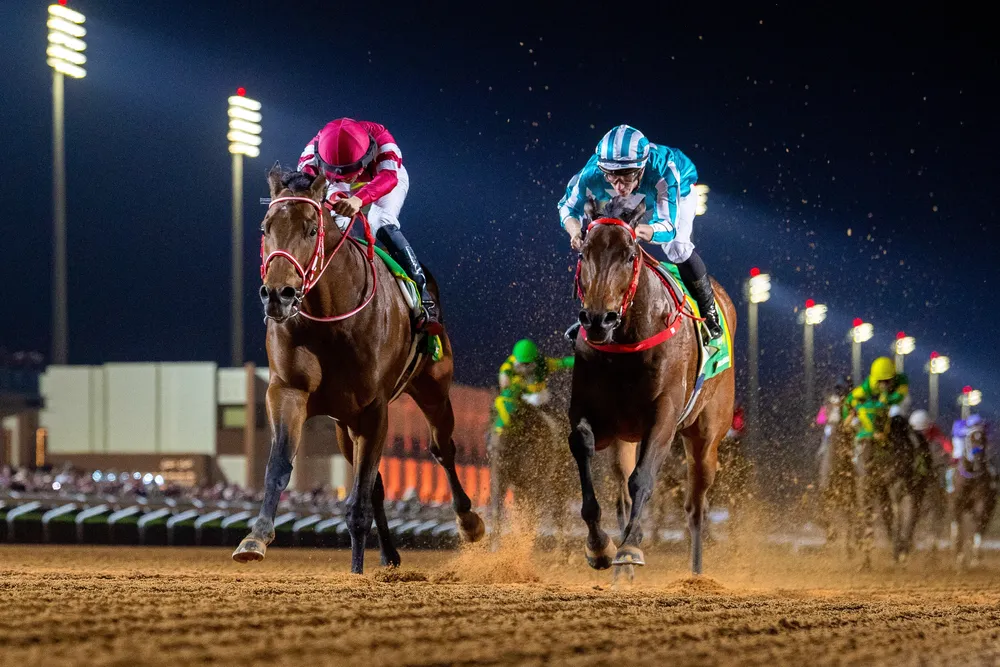 RS33291_Forever Young6 Ryusei Sakai 2-22-25_ G1 Saudi Cup_Mathea Kelley-JCSA-2