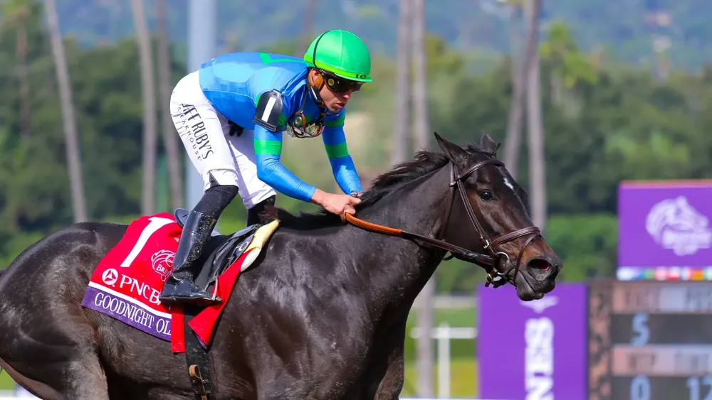 WhatsApp Image 2023-11-04 at 4.13.34 PM