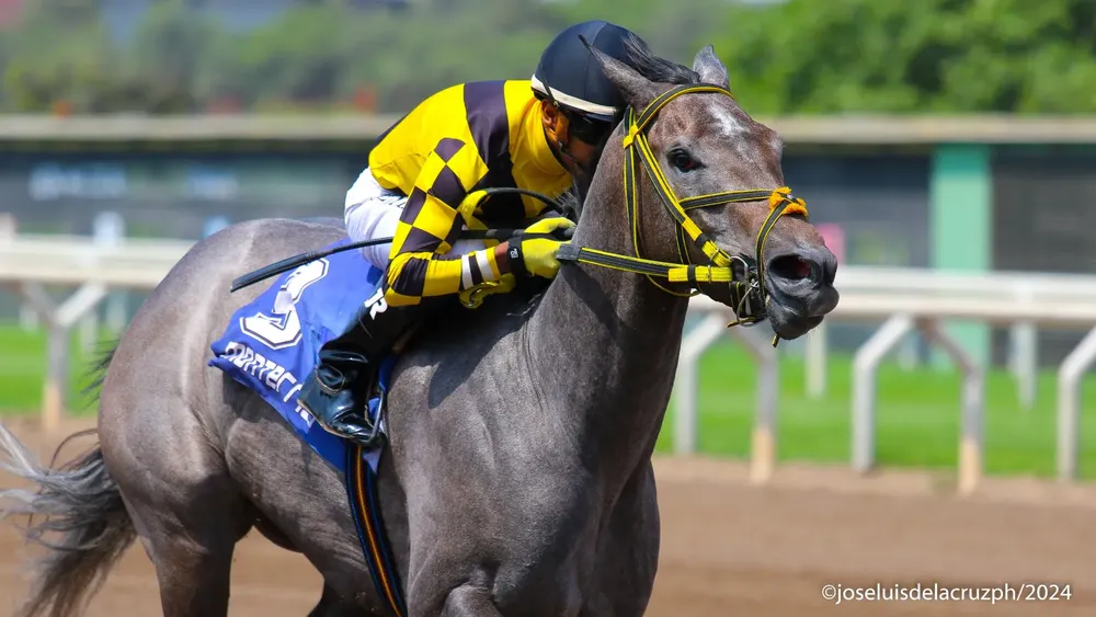 WhatsApp Image 2024-01-07 at 2.23.57 PM