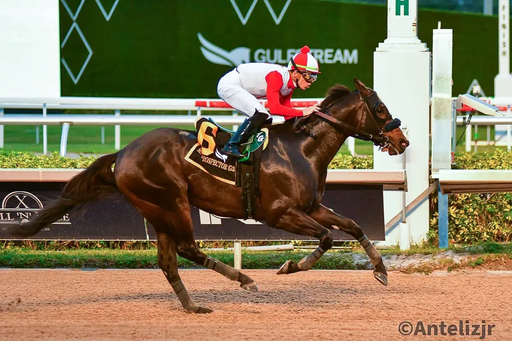 WhatsApp Image 2024-12-28 at 18.26.51