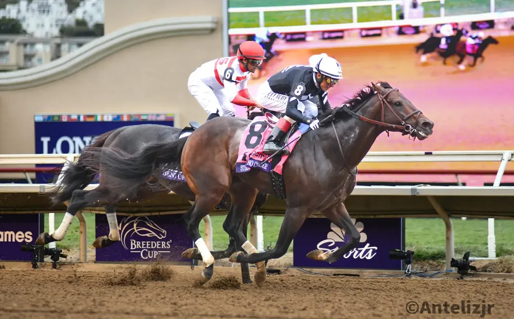 WhatsApp Image 2024-11-02 at 18.22.25