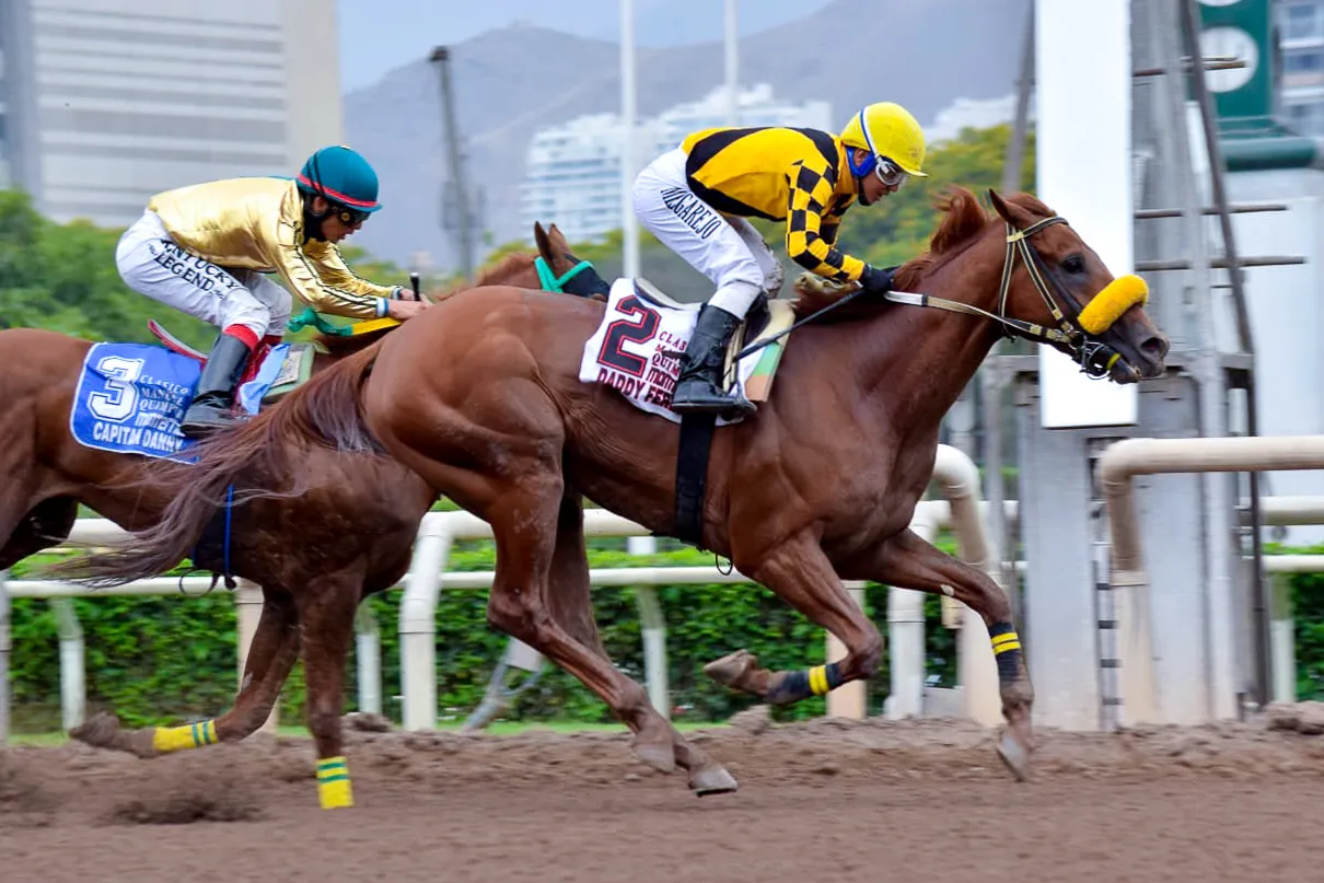 WhatsApp Image 2024-12-14 at 17.59.58