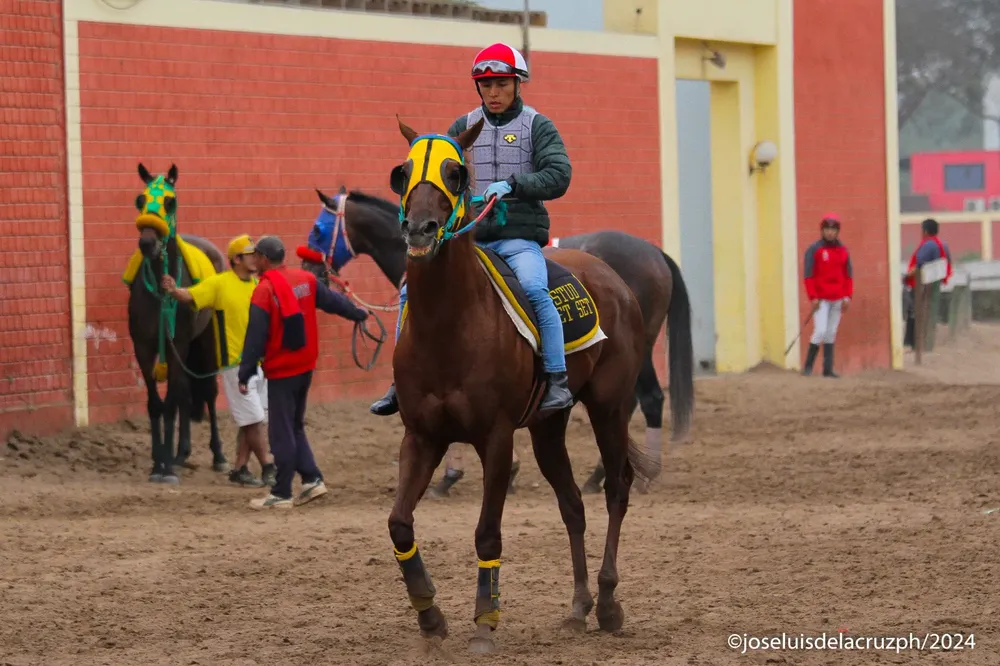 WhatsApp Image 2024-08-23 at 11.00.19