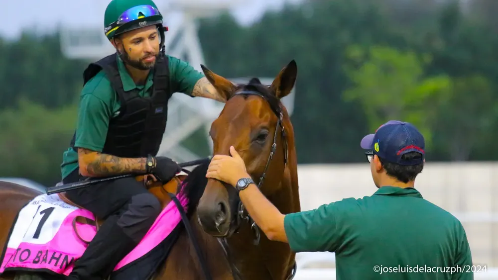 WhatsApp Image 2024-03-26 at 6.56.21 PM